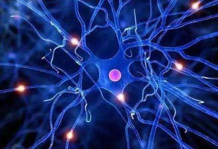 某細(xì)胞生命科學(xué)行業(yè)